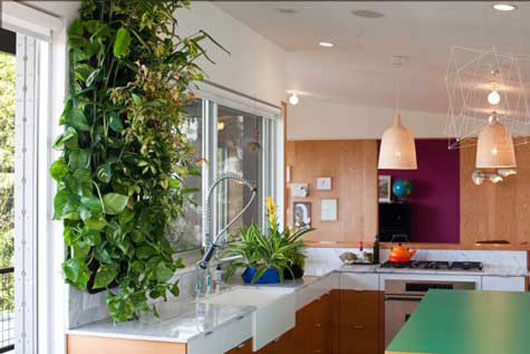 Indoor garden designing ideas for smaller space