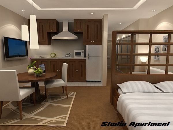 Small Studio Apartment Design Ideas