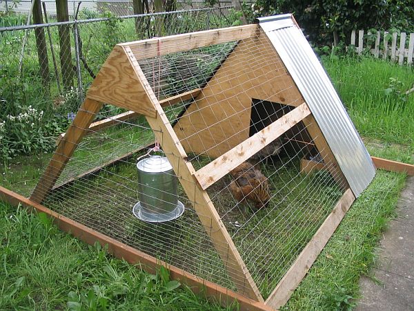 Do-It-Yourself Chicken Coop