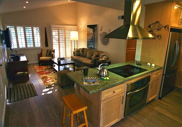 How to Decorate Kitchen Combined with Living Room?